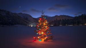 Christmas Wallpaper_59.jpg Christmas Wallpapers